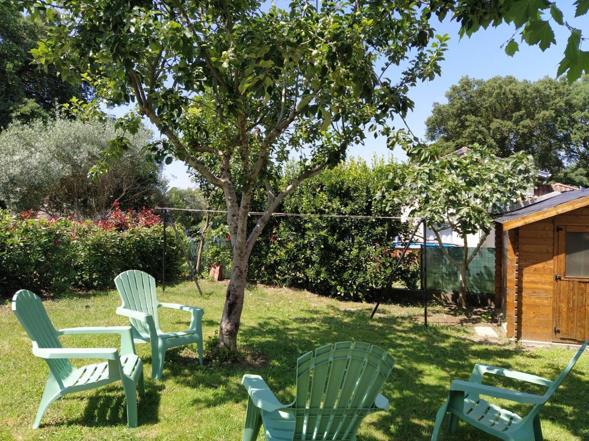 אונדרה Maison Christy, Spacieux, Calme Avec Jardin מראה חיצוני תמונה